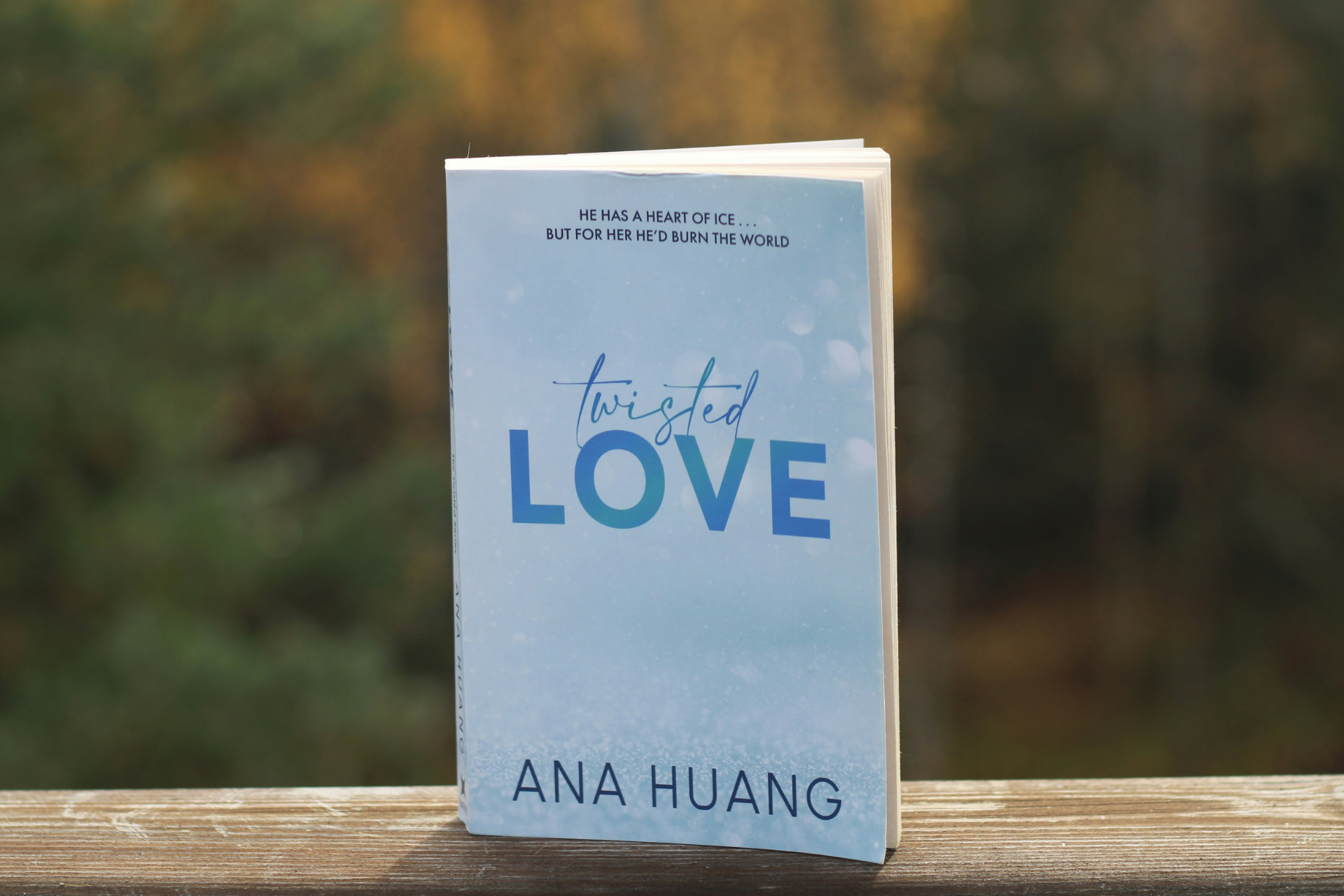 Paperback novel standing upright outdoors