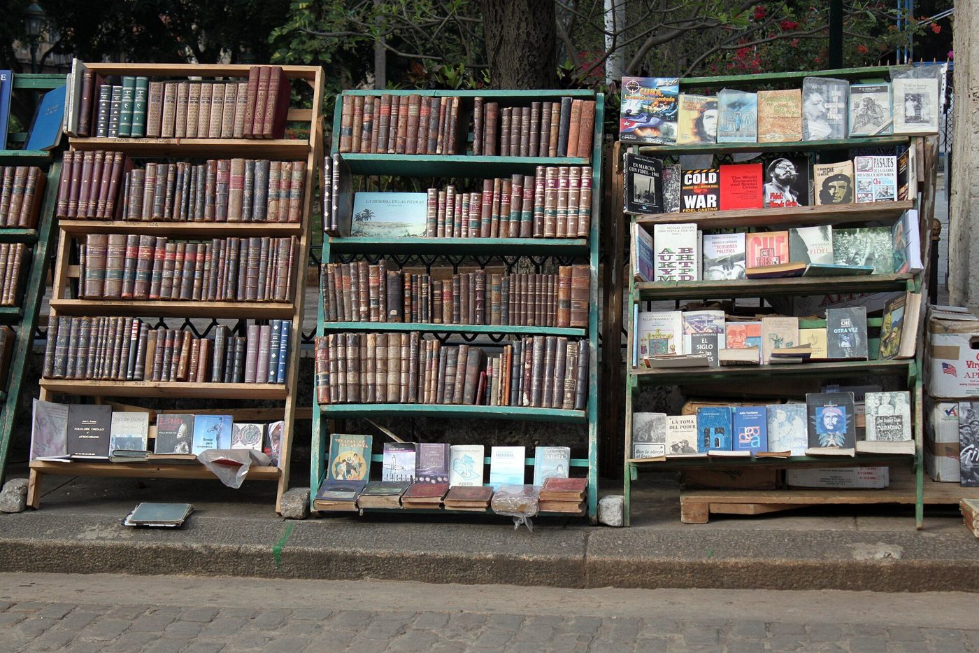 Second-hand history books stacked on outdoor shelves