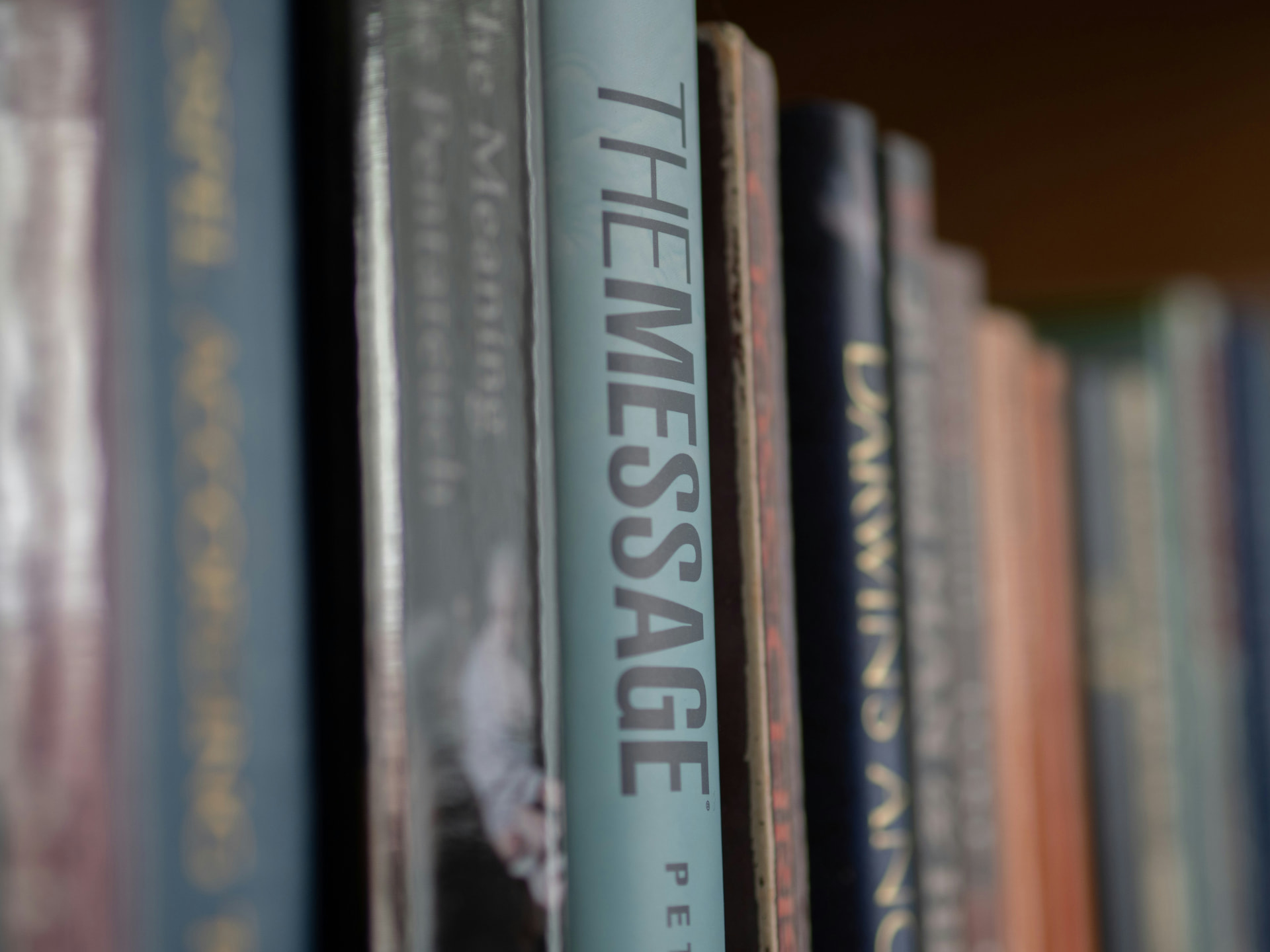 Close-up of catalogued book spines on a shelf