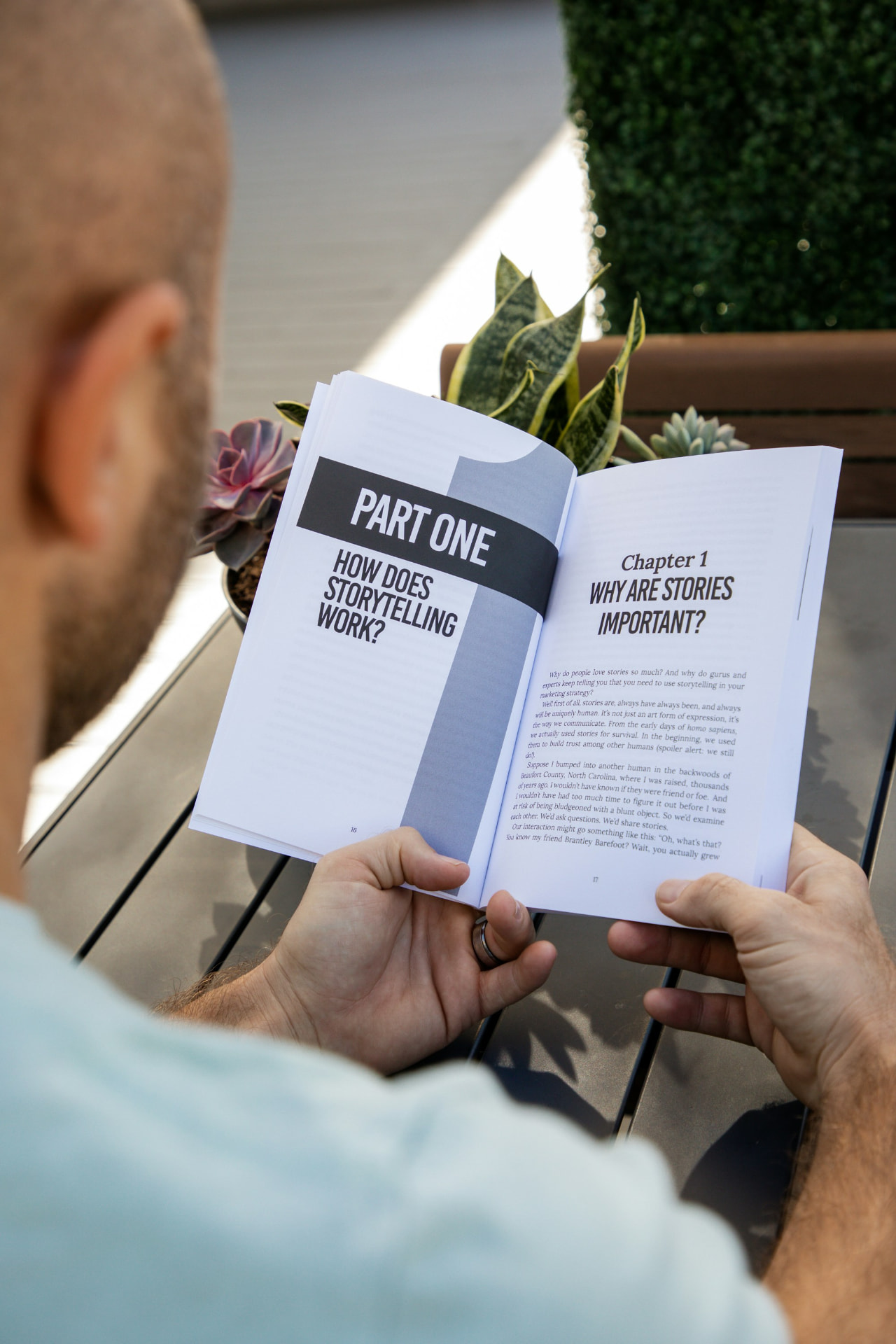 Reader studying an open book in daylight