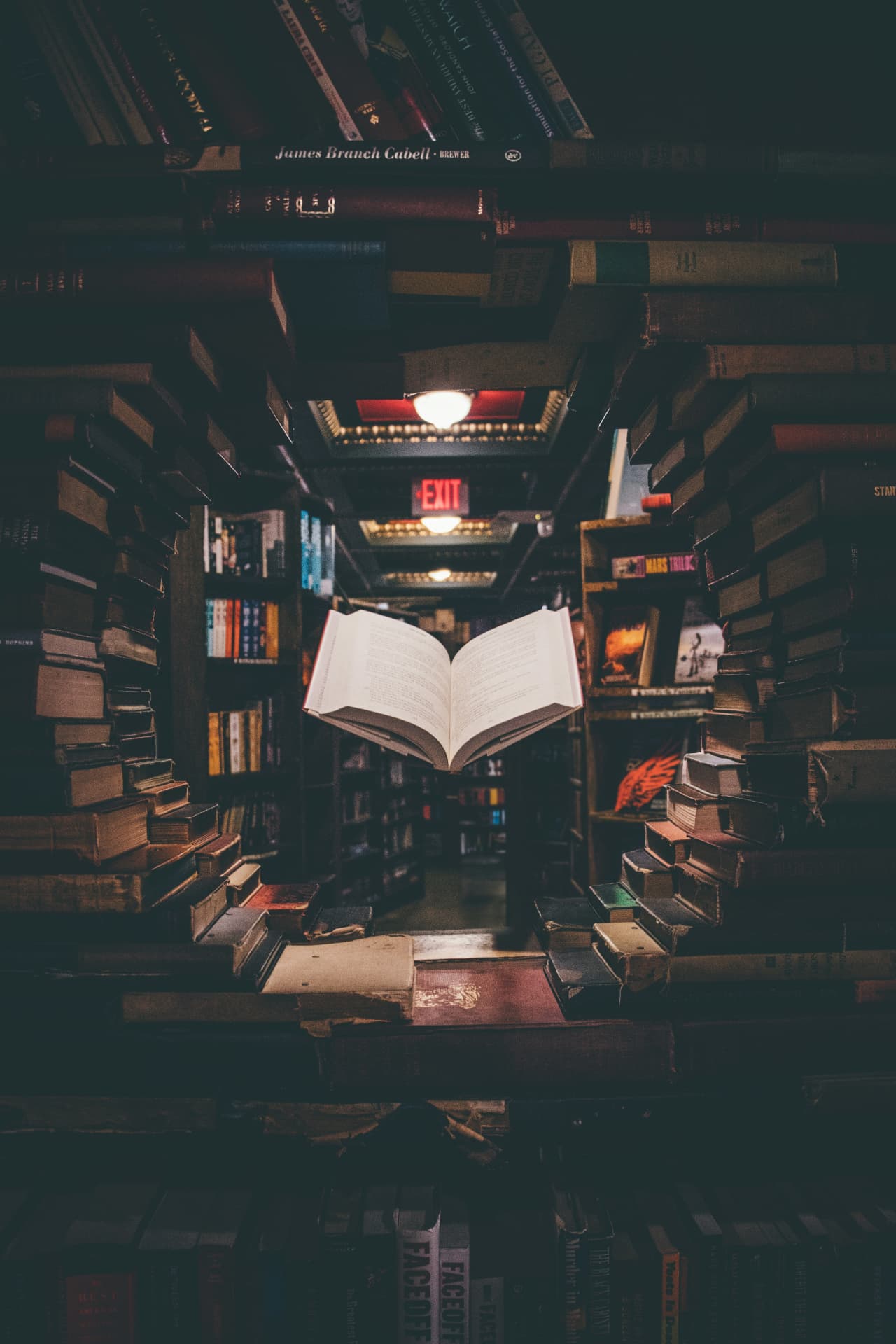 Open book suspended between towering stacks of catalogued titles