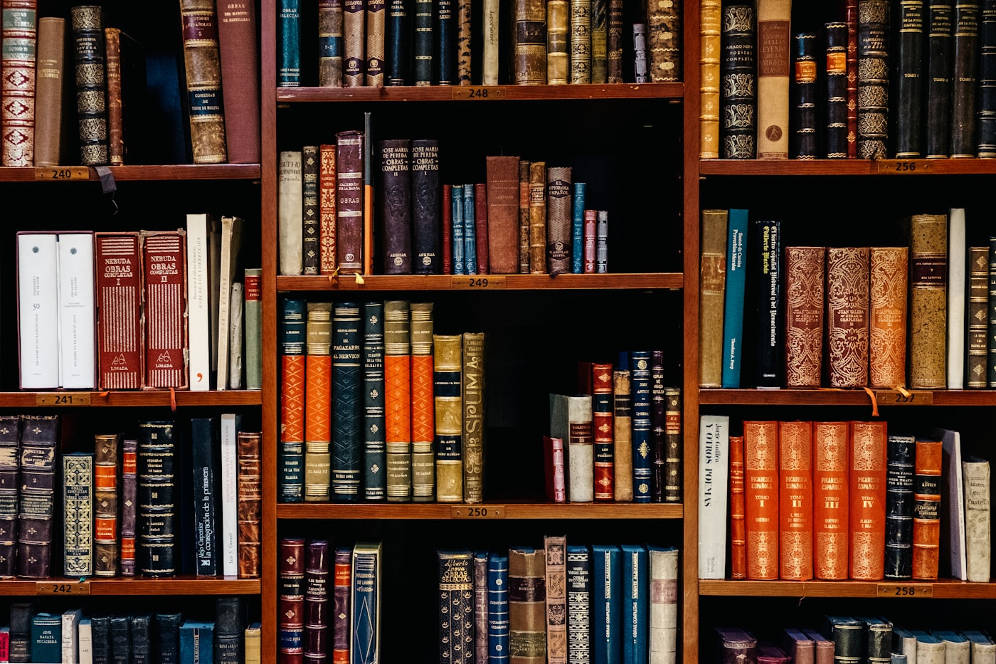 A reader browsing borrowed books in a public library